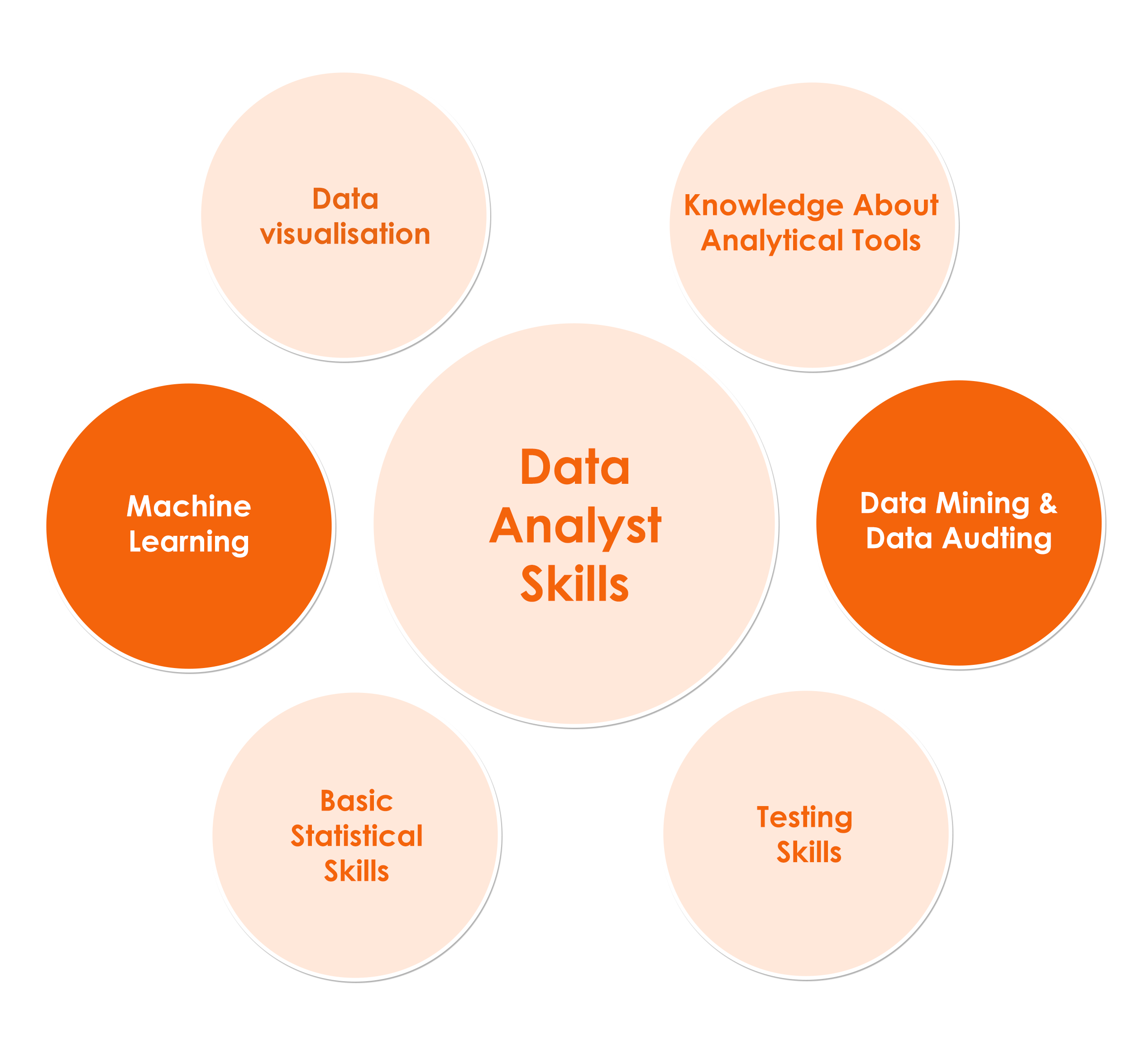 Political Data Analyst Skills