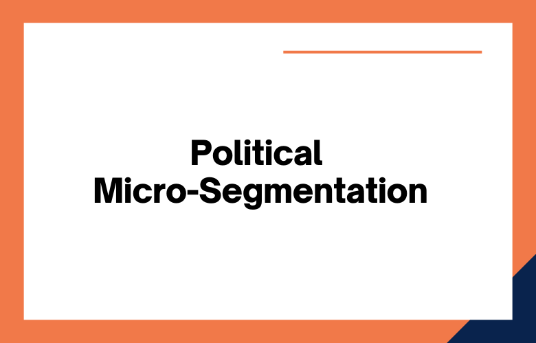 Political Micro-Segmentation