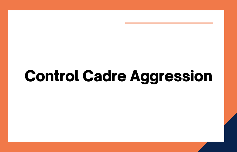 Control Cadre Aggression