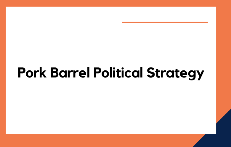 Pork Barrel Political Strategy